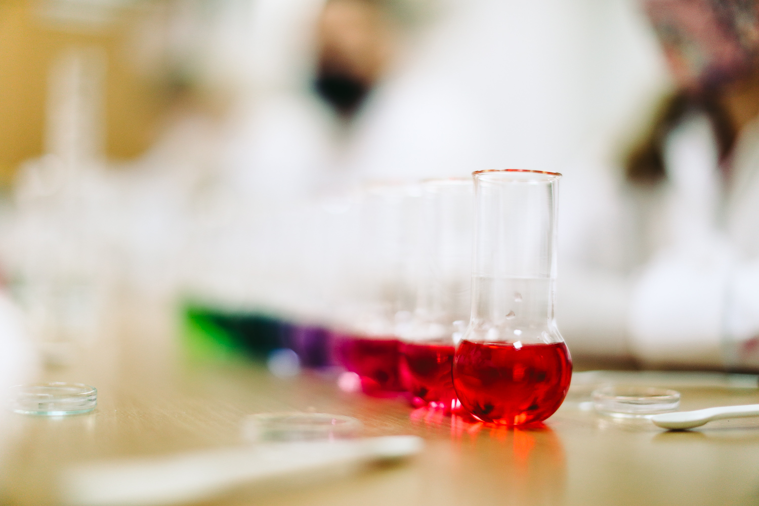 Učíme sa spolu online