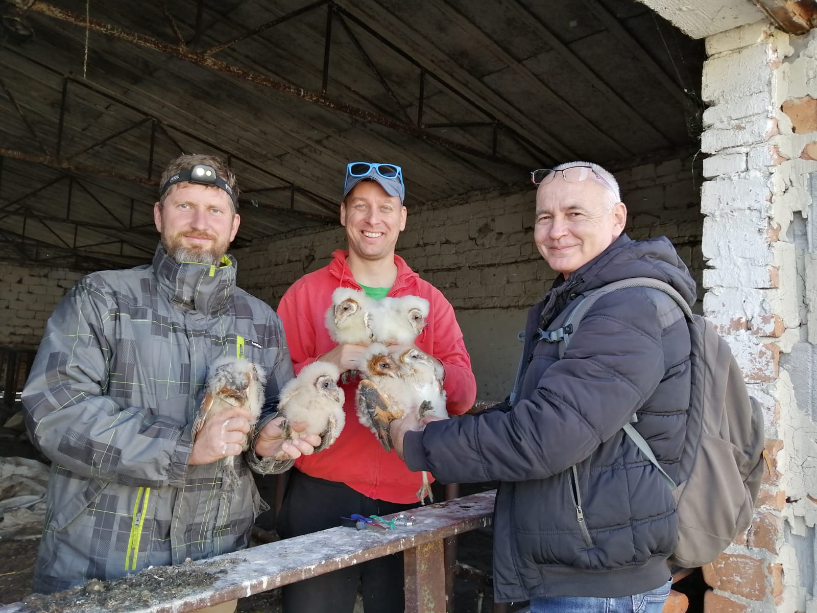 Ochrana dravcov na Slovensku