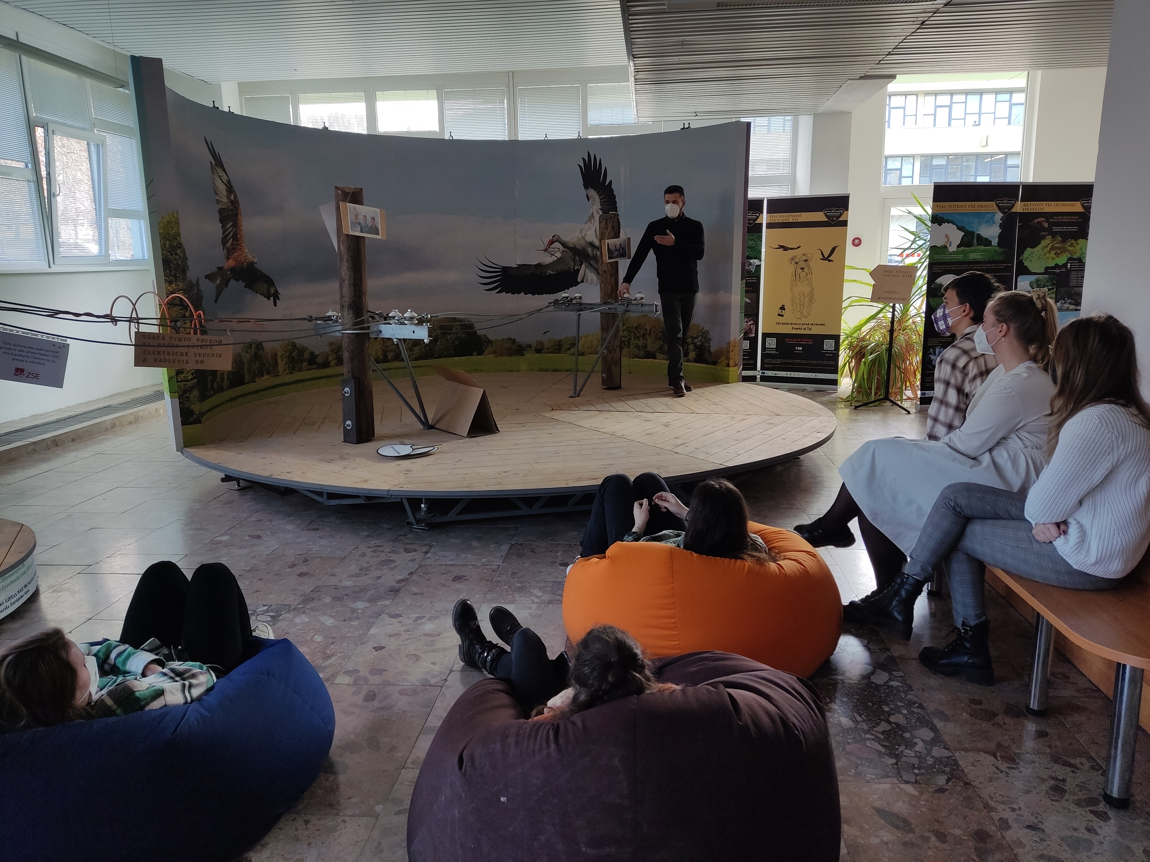 Ochrana dravcov na Slovensku