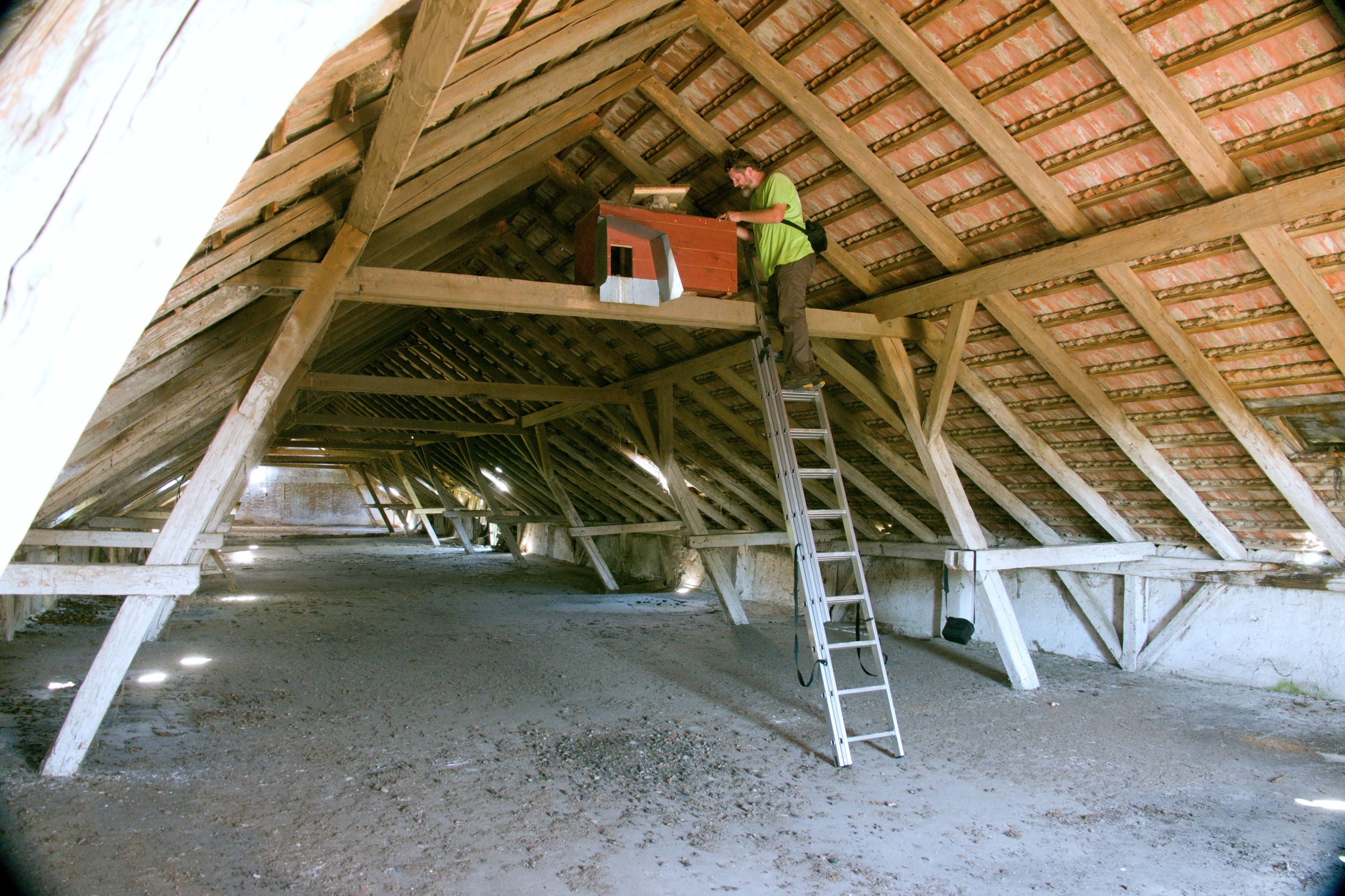 Ochrana dravcov na Slovensku