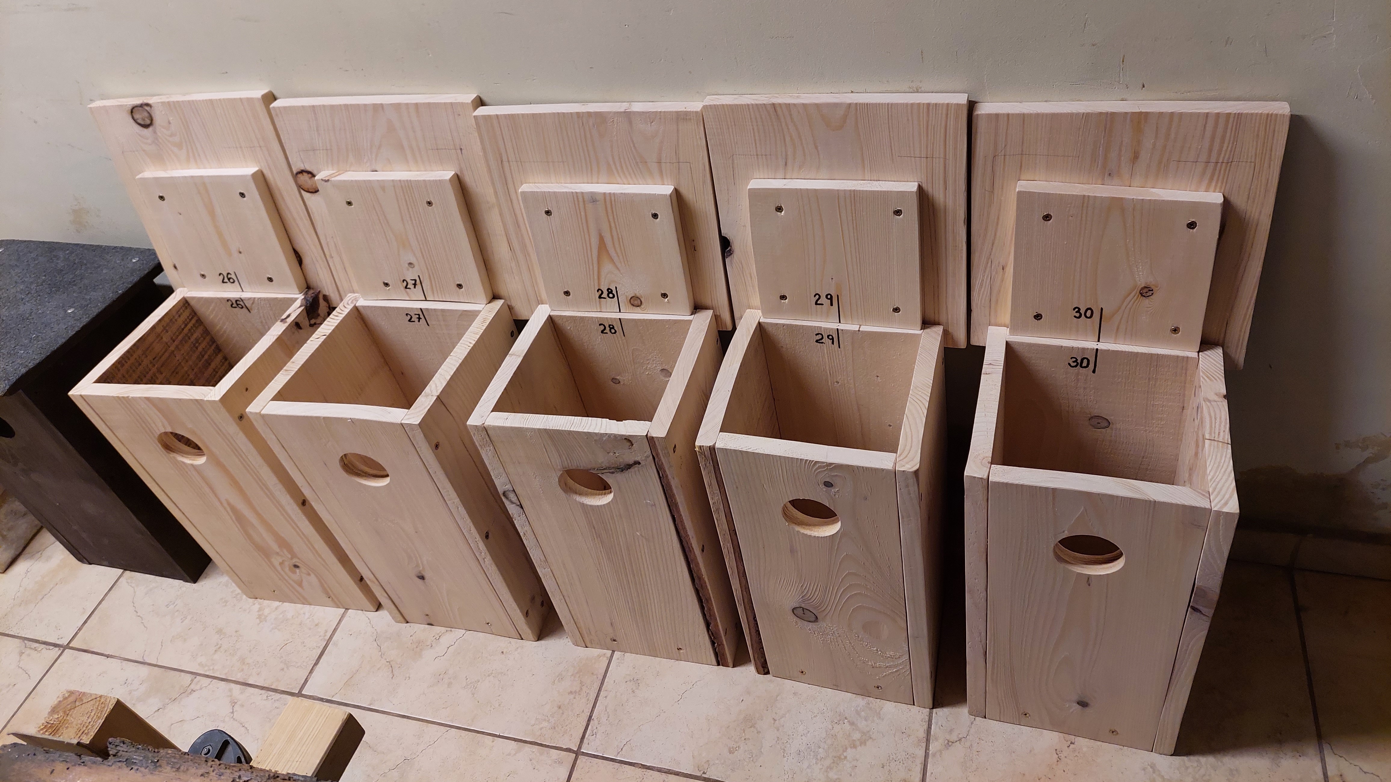 Ochrana dravcov na Slovensku