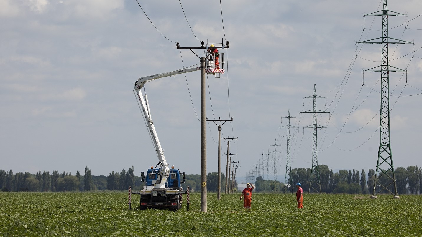 Ochrana dravcov na Slovensku