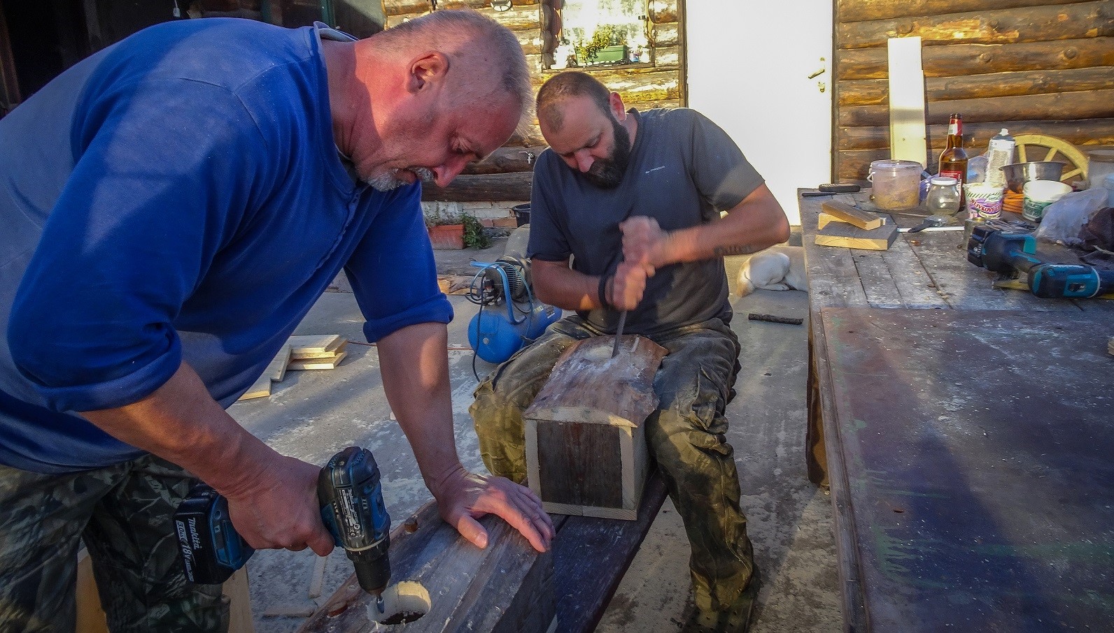 Ochrana dravcov na Slovensku