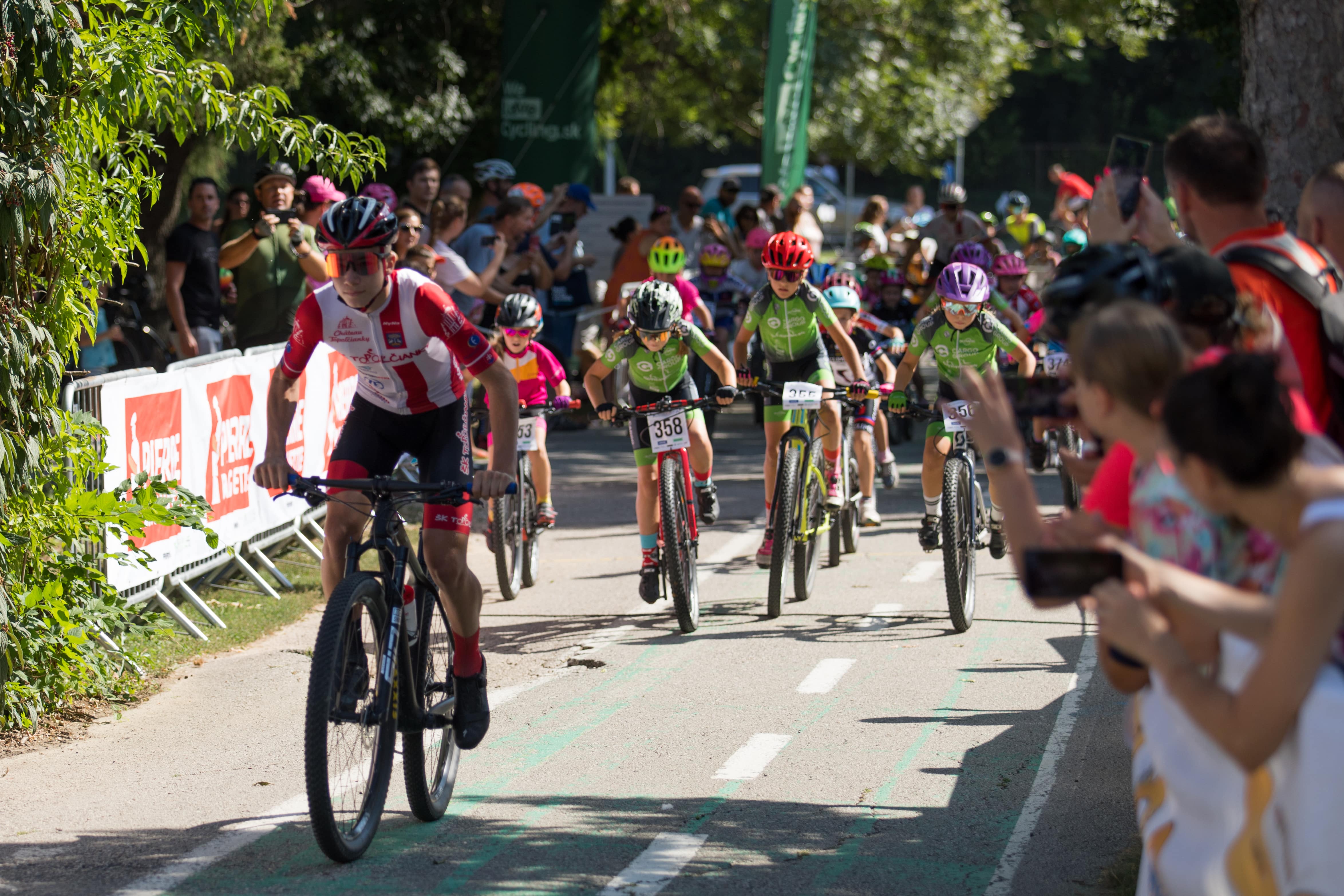 Asociácia pomoci postihnutým APPA