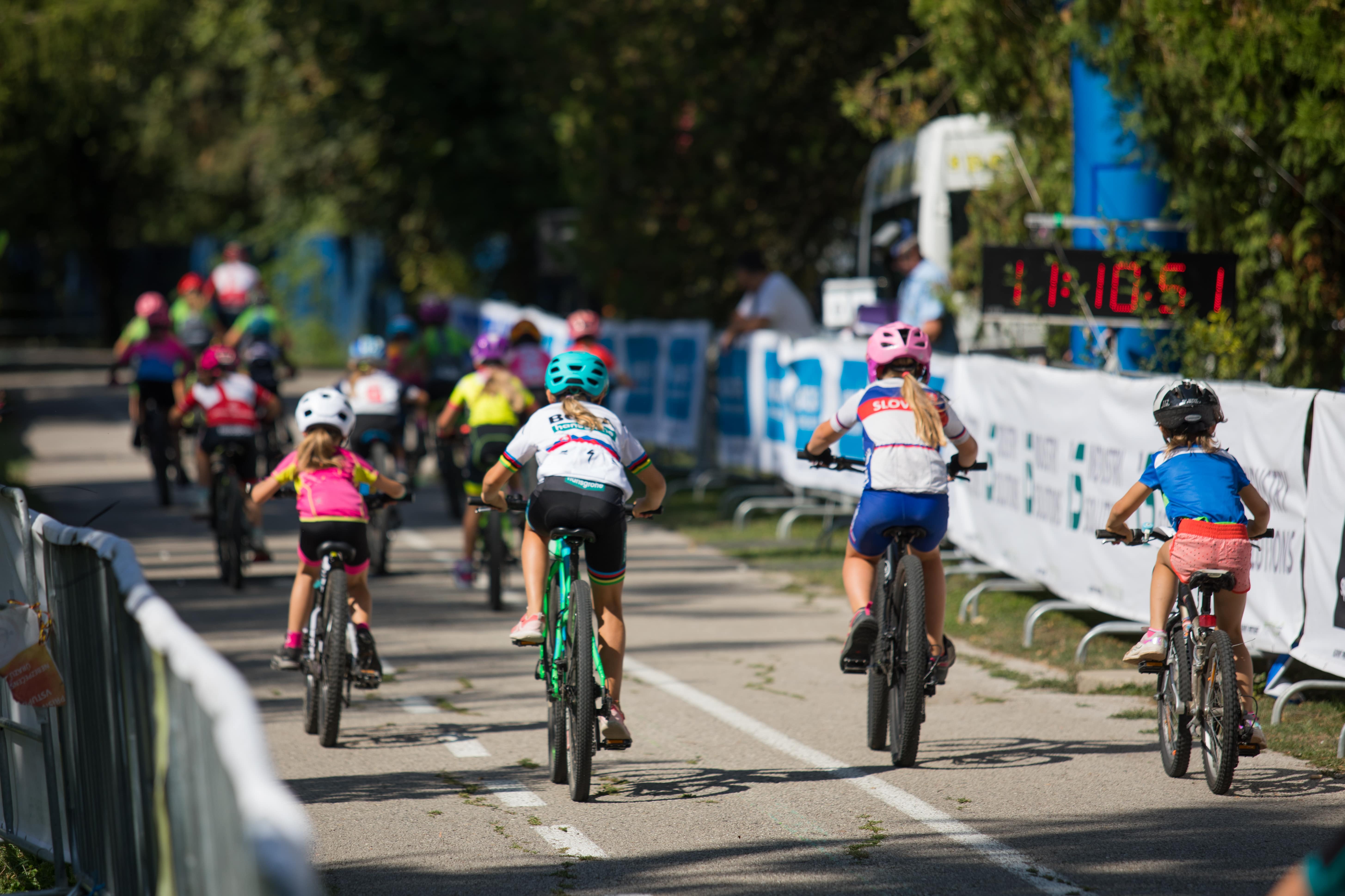 Asociácia pomoci postihnutým APPA