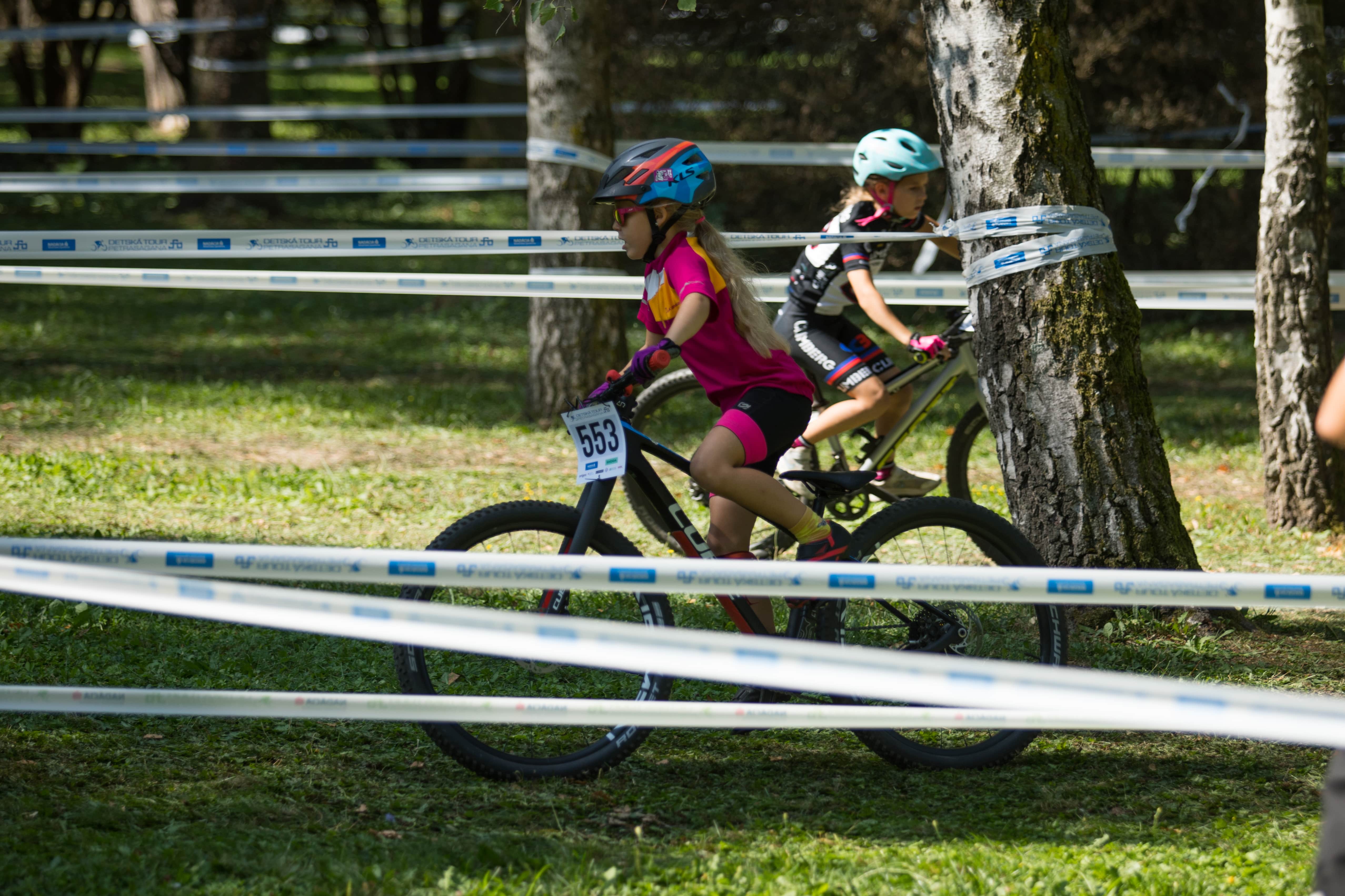 Asociácia pomoci postihnutým APPA