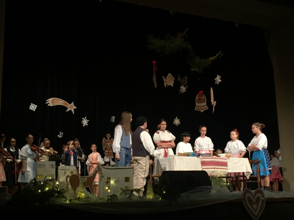 Asociácia pomoci postihnutým APPA