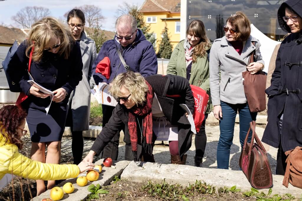 Vzdelávanie, veda, kultúra v Elektrárni Piešťany