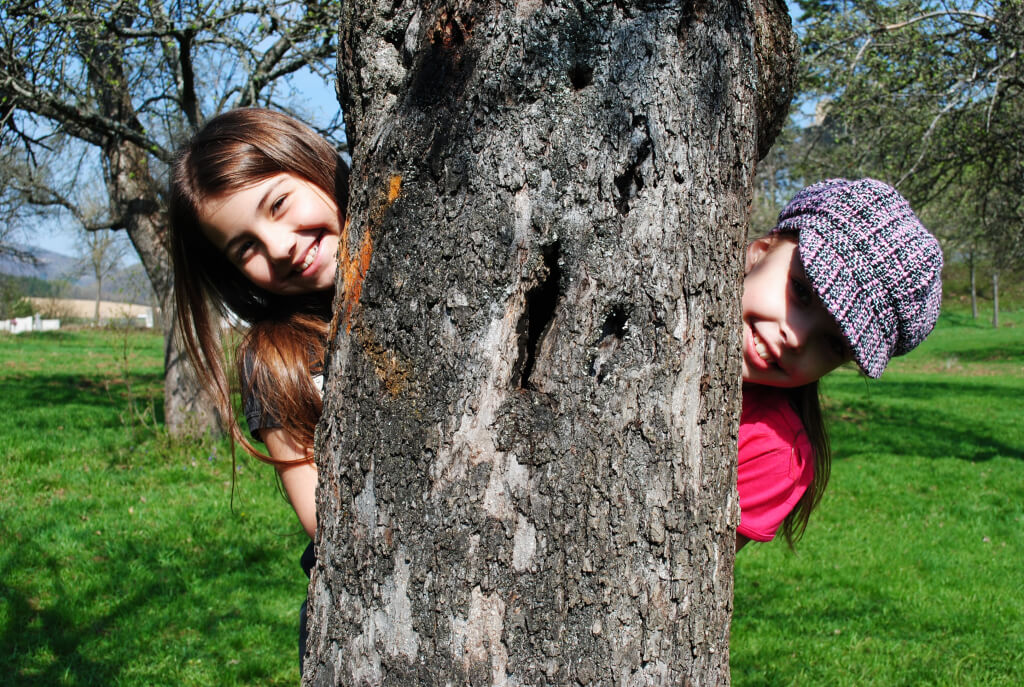 CEEV ŽIVICA - Zelená škola