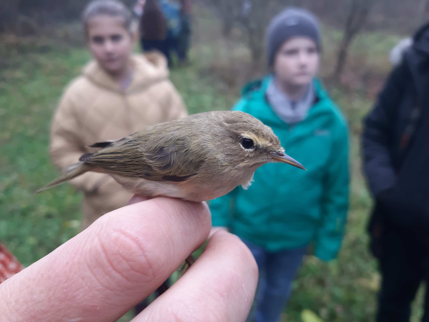 Zamestnanecký grantový program