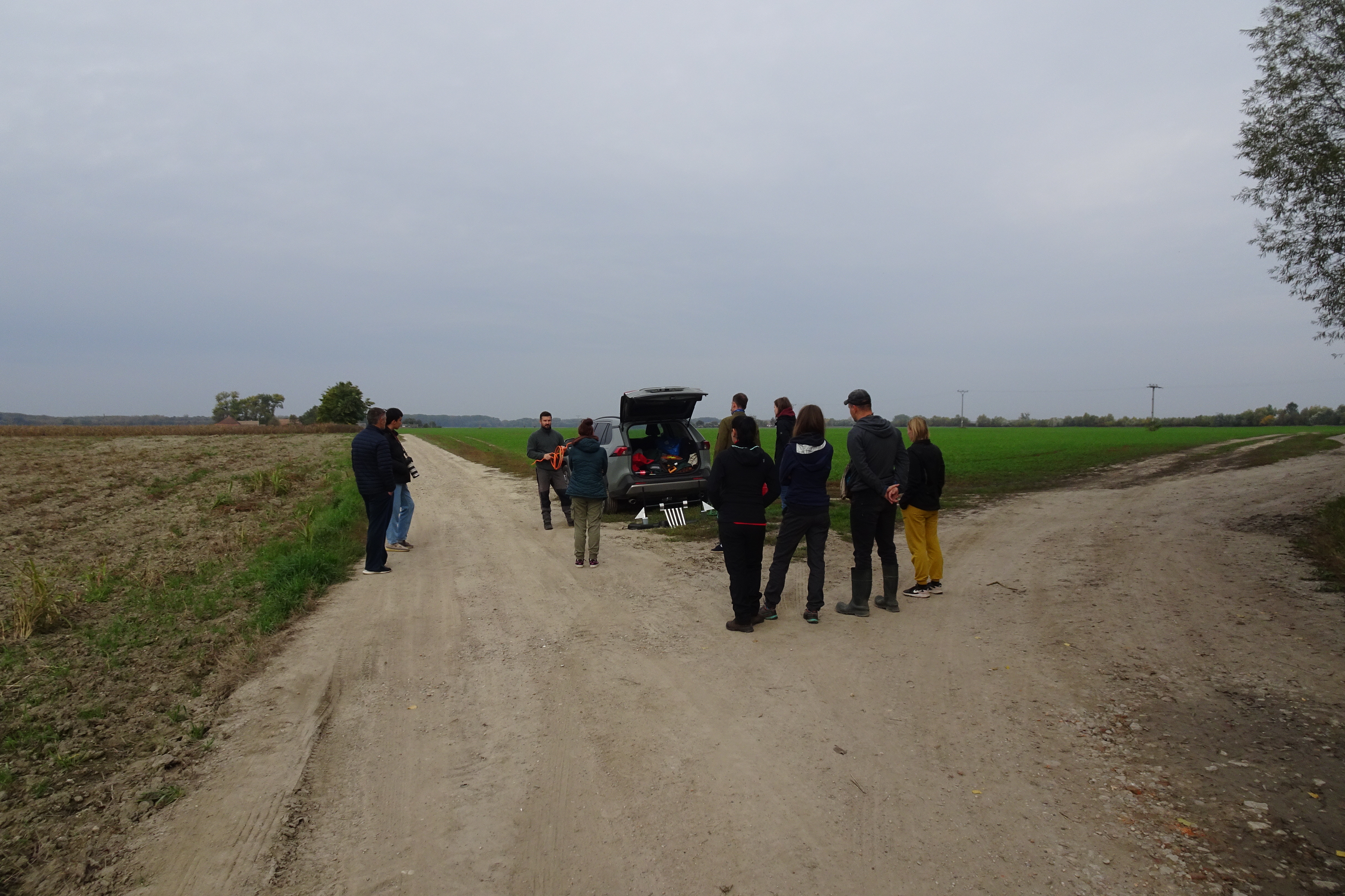 Ochrana dravcov na Slovensku