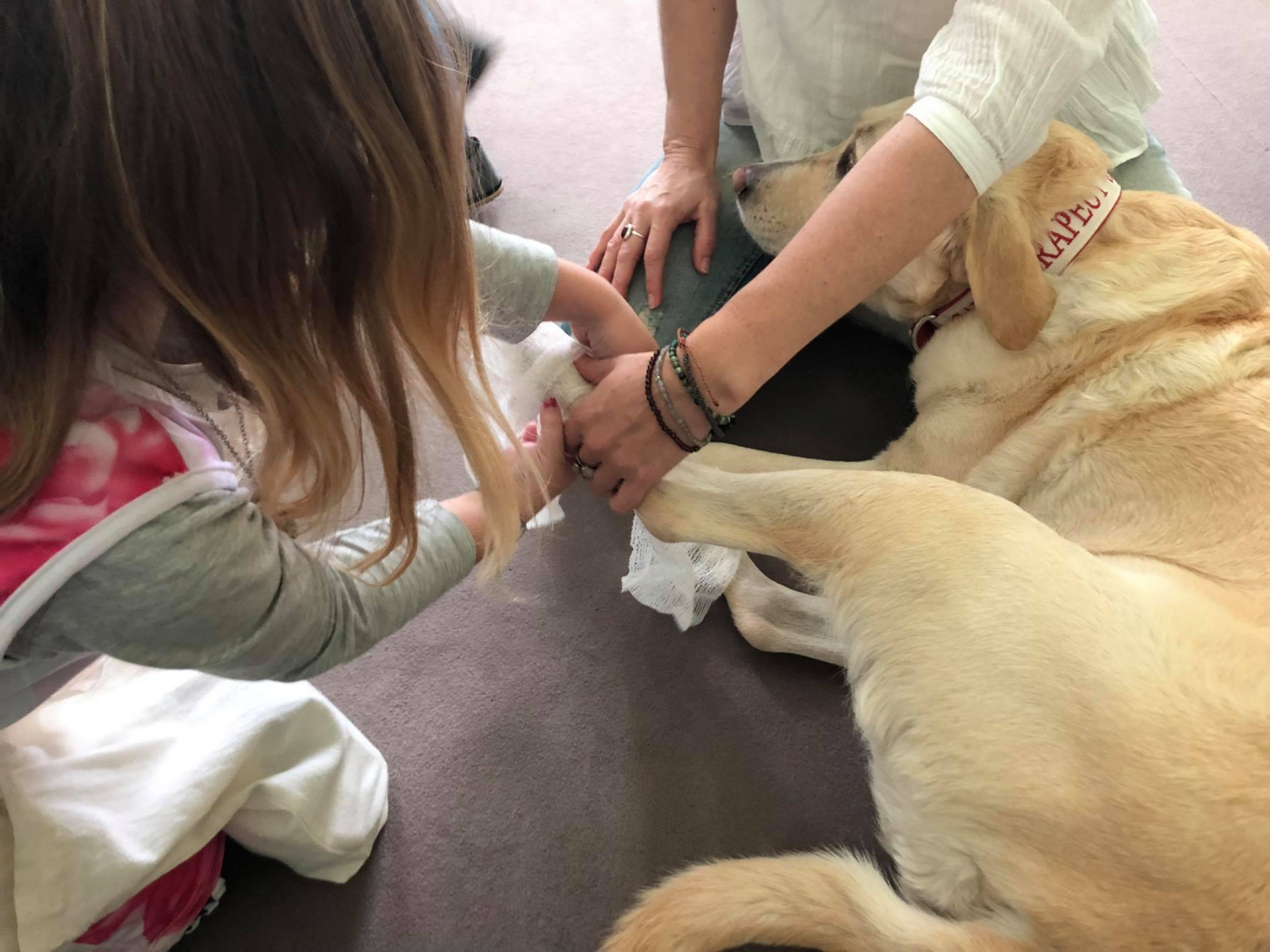 Zamestnanecký grantový program