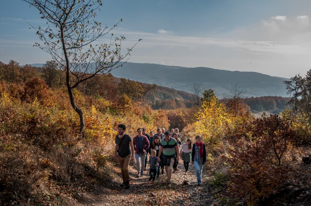 Sokratov inštitút 2019