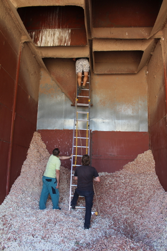 Ochrana dravcov na Slovensku