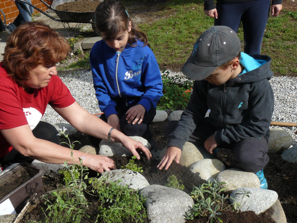 CEEV ŽIVICA - Zelená škola