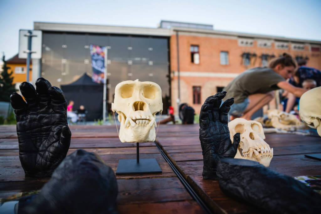 Elektrárňa Piešťany