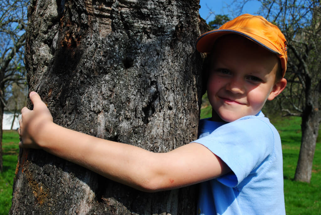 CEEV ŽIVICA - Zelená škola