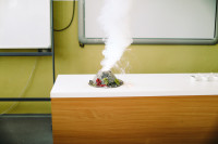 Učíme sa spolu online