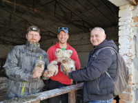 Ochrana dravcov na Slovensku