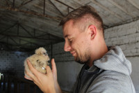 Ochrana dravcov na Slovensku