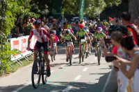 Asociácia pomoci postihnutým APPA