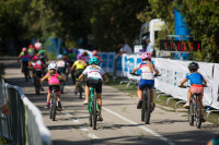 Asociácia pomoci postihnutým APPA