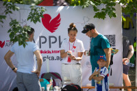 Asociácia pomoci postihnutým APPA