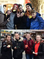 CEEV ŽIVICA - Sokratov inštitút