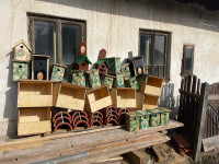 Ochrana dravcov na Slovensku