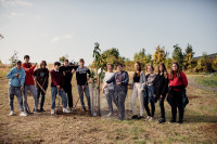 Zamestnanecký grantový program