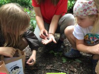 Zamestnanecký grantový program