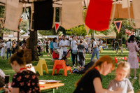 Rozprúdime regióny