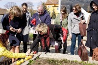 Vzdelávanie, veda, kultúra v Elektrárni Piešťany