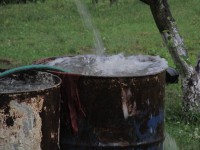 CEEV ŽIVICA - Zelená škola