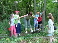 CEEV ŽIVICA - Zelená škola