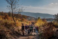 Sokratov inštitút 2019