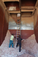 Ochrana dravcov na Slovensku