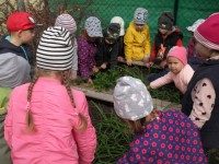 Zamestnanecký grantový program