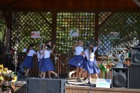 Občianske združenie Tekov - Hont