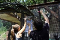 Zamestnanecký grantový program