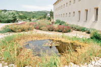 Budujeme klimatické záhrady